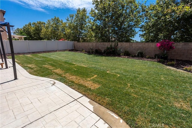 view of yard featuring a fenced backyard and a patio