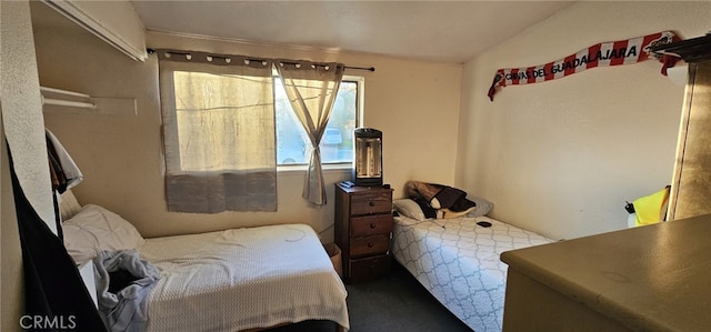 bedroom featuring vaulted ceiling