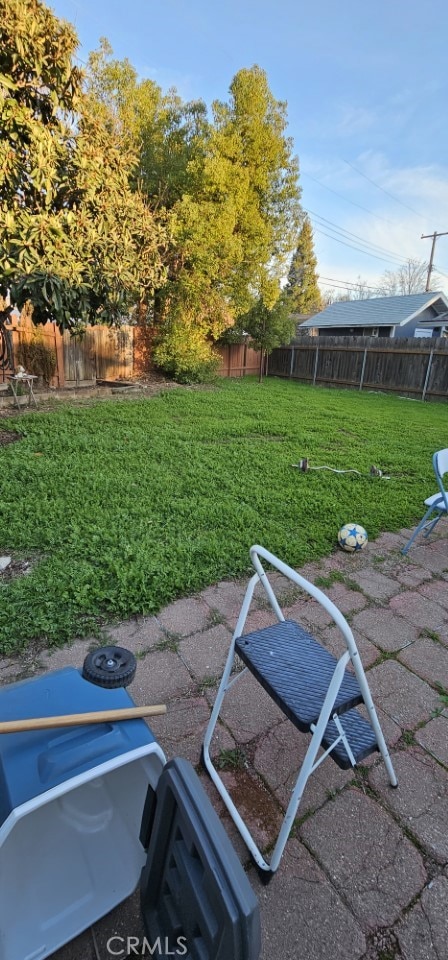 view of yard with a patio