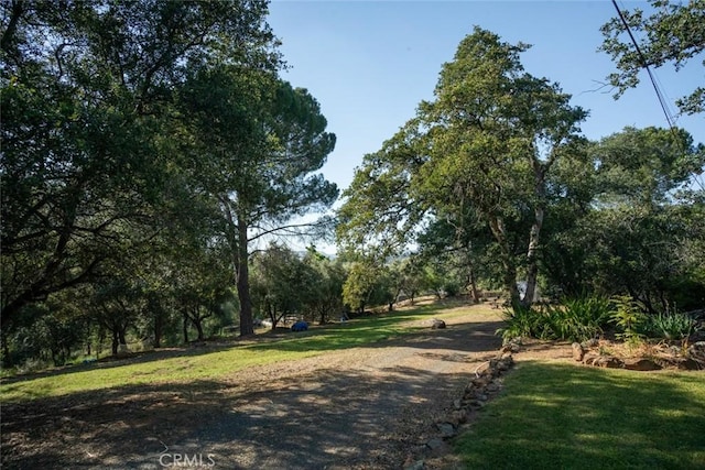 view of community featuring a lawn