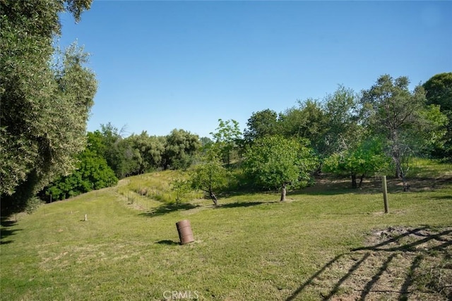 view of yard with a rural view