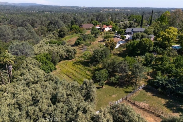 bird's eye view featuring a rural view and a view of trees