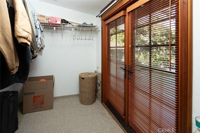 walk in closet with carpet flooring