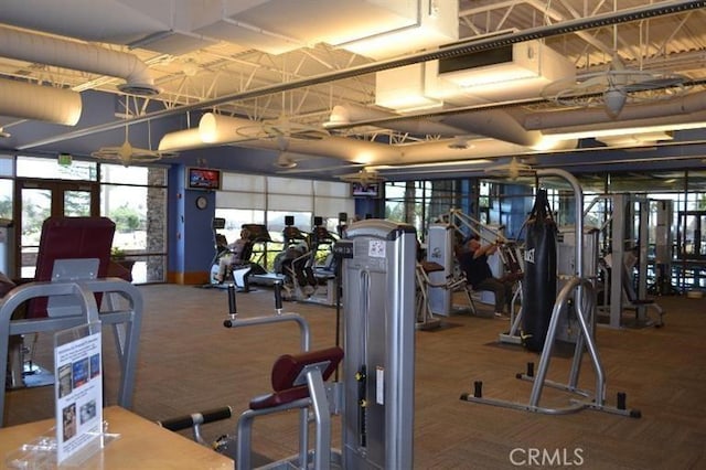 exercise room with carpet flooring