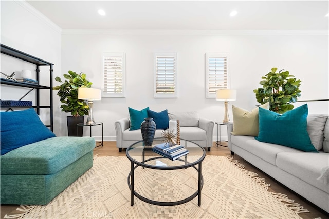 living room featuring crown molding and light hardwood / wood-style flooring