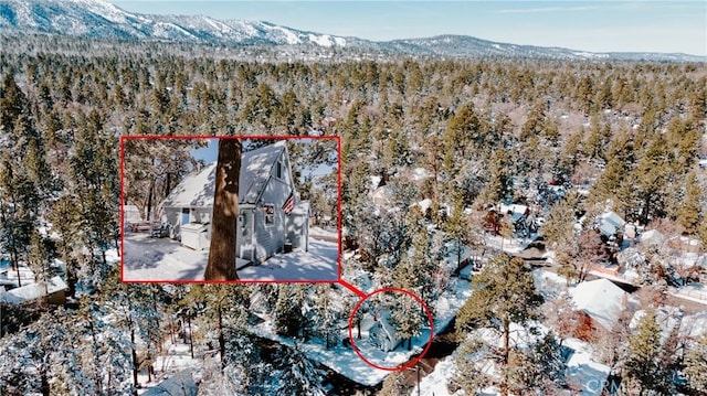 snowy aerial view featuring a mountain view