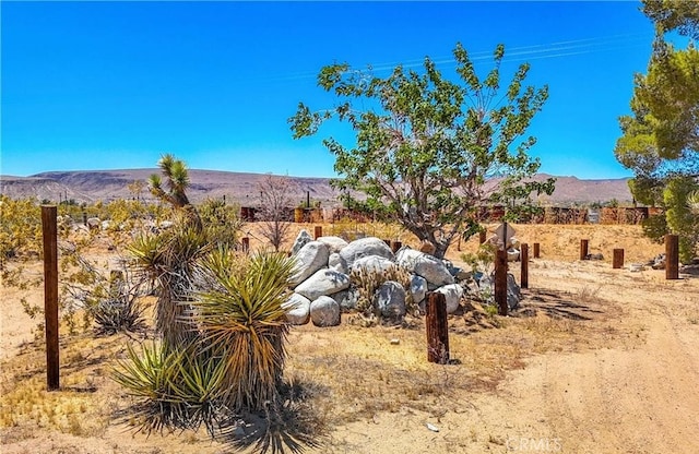 view of yard featuring a mountain view