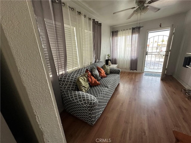 living room with hardwood / wood-style floors and ceiling fan