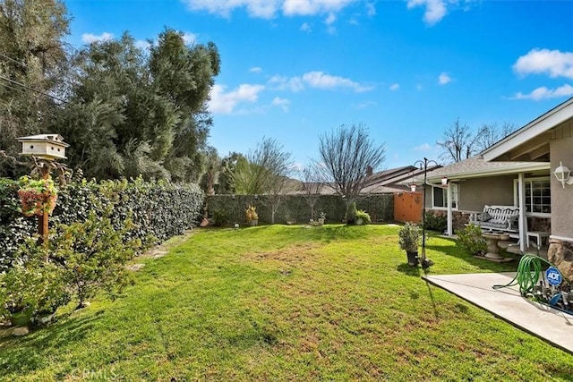 view of yard featuring a patio area