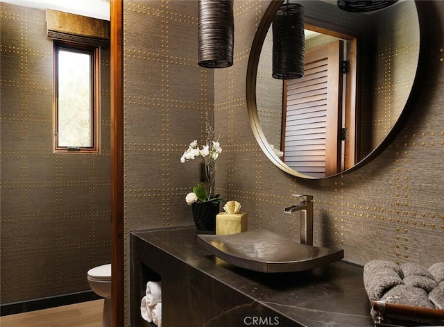 bathroom with hardwood / wood-style flooring, sink, and toilet