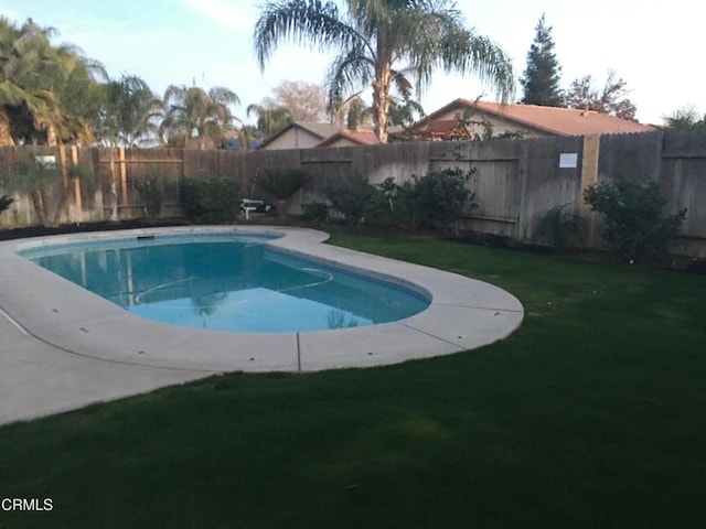 view of pool with a yard