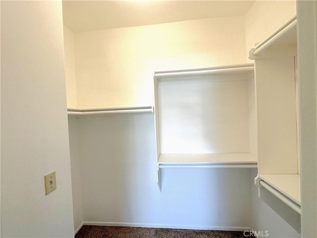 spacious closet with carpet floors