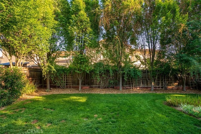 view of yard featuring a fenced backyard