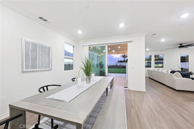 dining room with light hardwood / wood-style flooring, ornamental molding, and ceiling fan