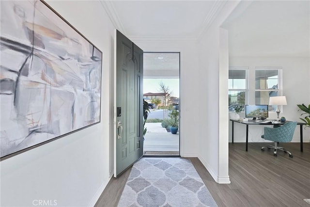 entrance foyer featuring crown molding and hardwood / wood-style flooring