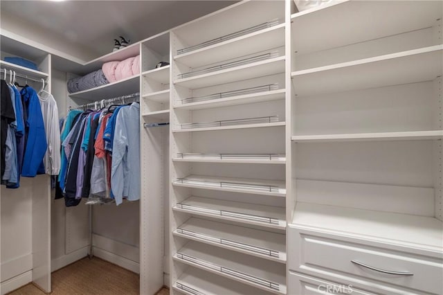 111 Via Lido Nord Unit B, Newport Beach, CA 92663 - view of spacious closet