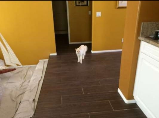 interior space with wood tiled floor and baseboards