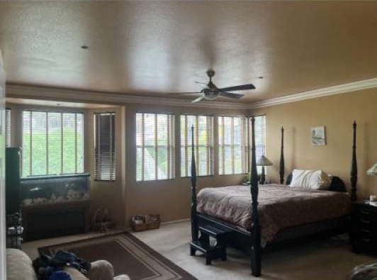 carpeted bedroom with a ceiling fan and crown molding