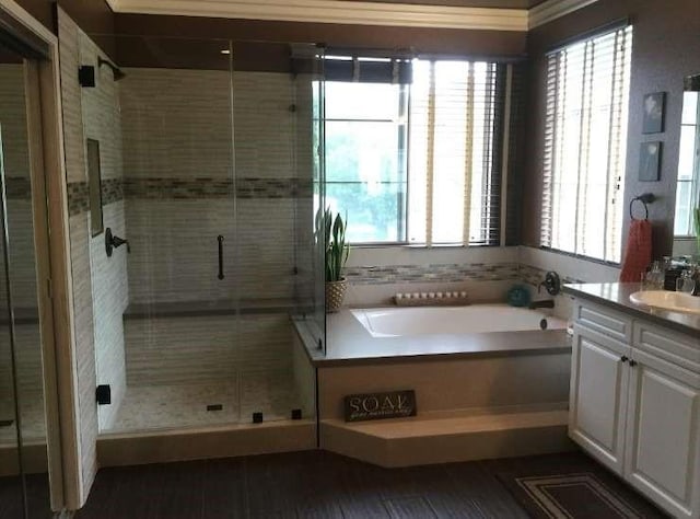 full bathroom featuring a healthy amount of sunlight, a garden tub, a shower stall, and vanity