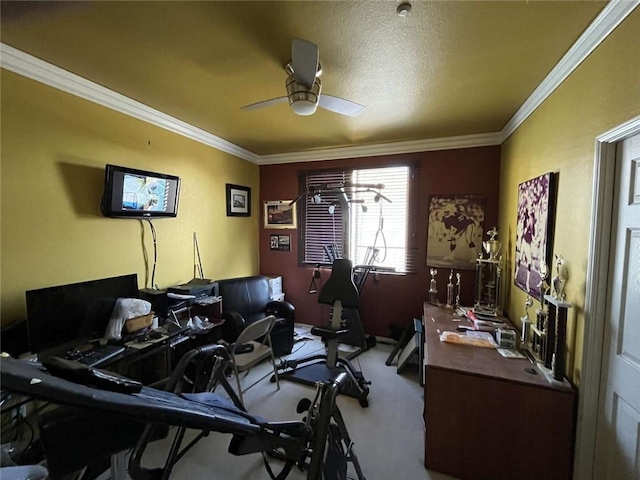 carpeted office featuring ceiling fan and ornamental molding