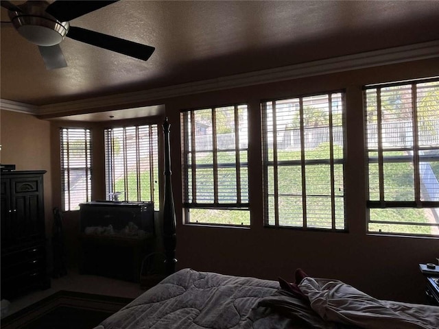 bedroom featuring a ceiling fan, ornamental molding, and a textured ceiling
