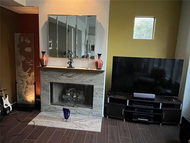 living room featuring a premium fireplace and wood tiled floor