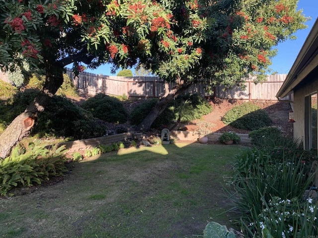 view of yard featuring a fenced backyard