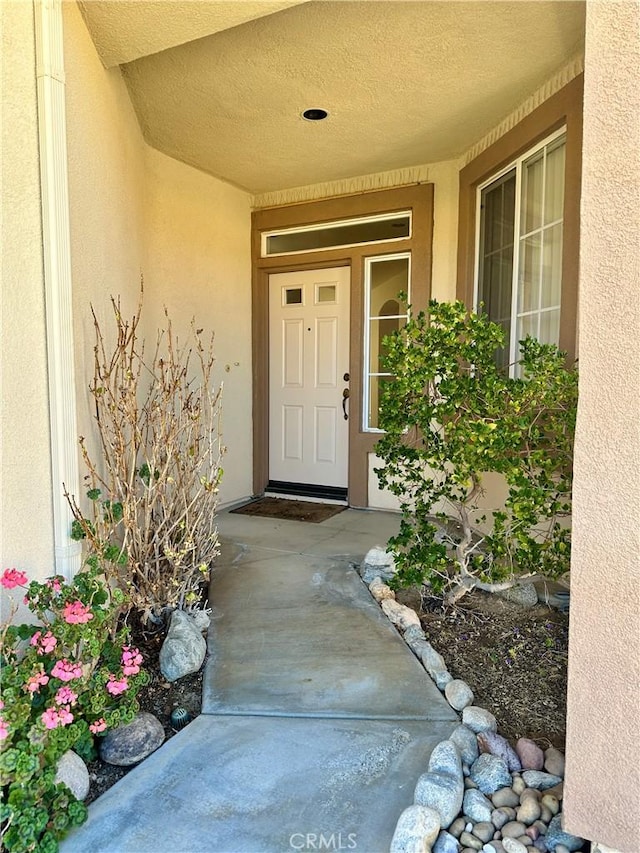 view of exterior entry featuring stucco siding