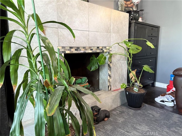 details featuring a tiled fireplace and hardwood / wood-style floors