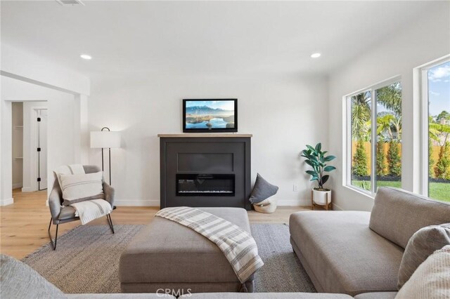 living room featuring light wood-type flooring