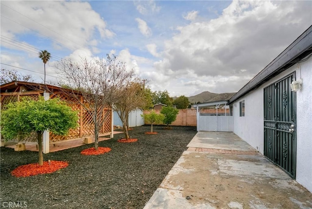 view of yard featuring a patio area