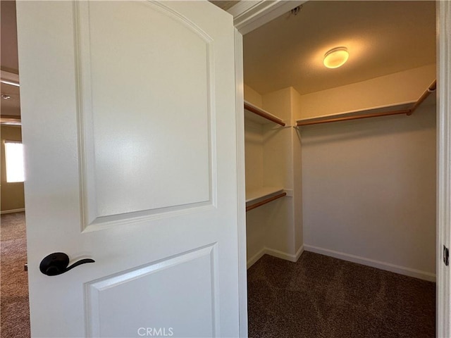 spacious closet featuring carpet flooring