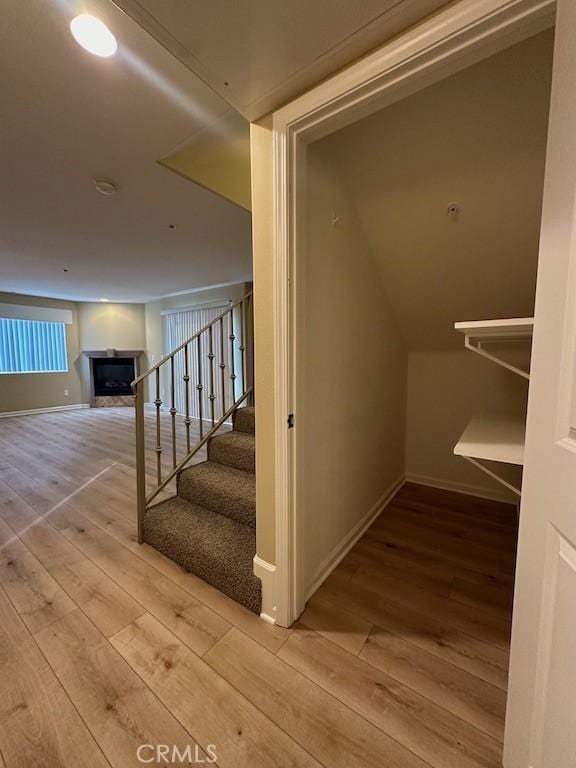 interior space with wood-type flooring