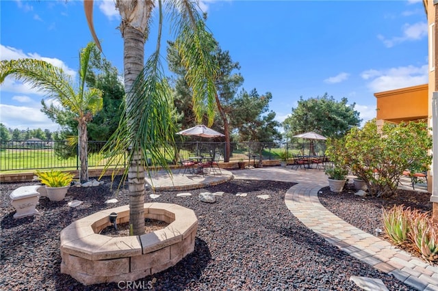view of yard featuring a fire pit and a patio area