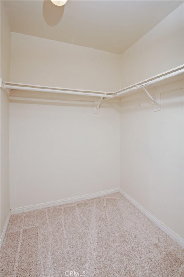 walk in closet with carpet