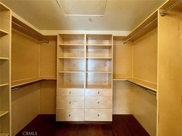 spacious closet with hardwood / wood-style flooring