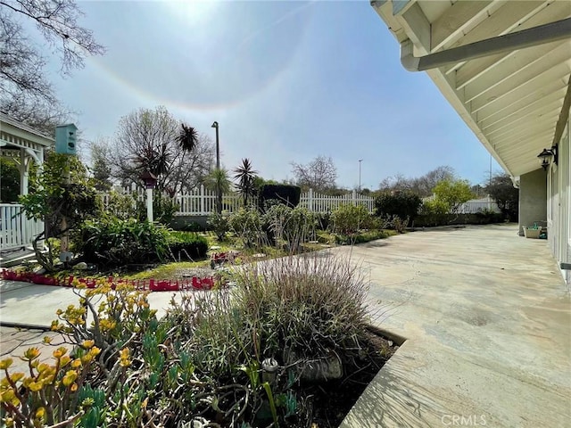 view of yard with a patio area