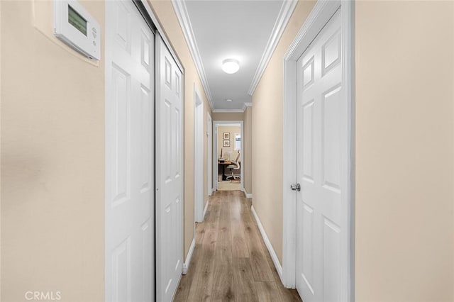 hallway featuring ornamental molding and light hardwood / wood-style flooring