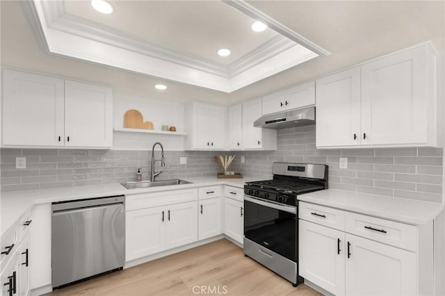 kitchen featuring a tray ceiling, sink, white cabinets, and stainless steel appliances