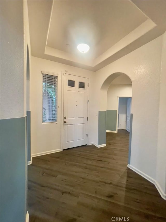 foyer featuring a tray ceiling and dark hardwood / wood-style flooring