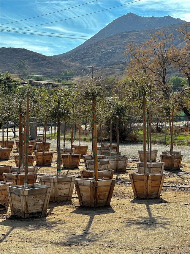 exterior space featuring a mountain view and a vegetable garden