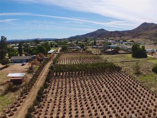 mountain view featuring a rural view