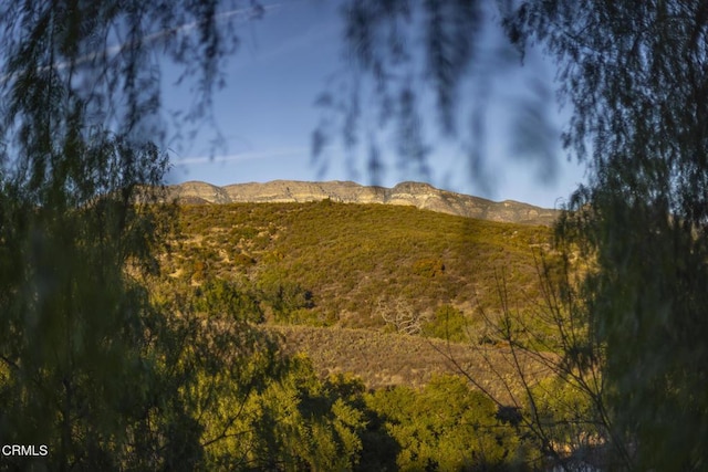 10525 Ojai Santa Paula Rd, Ojai, CA 93023 - photo 39