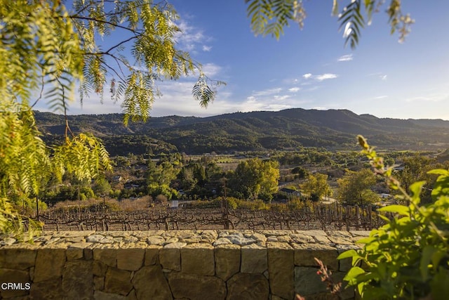 10525 Ojai Santa Paula Rd, Ojai, CA 93023 - photo 46