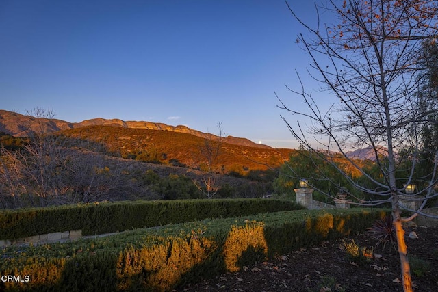 10525 Ojai Santa Paula Rd, Ojai, CA 93023 - photo 36