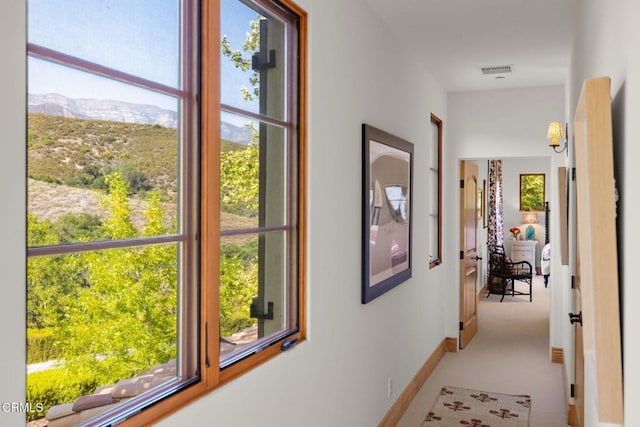 10525 Ojai Santa Paula Rd, Ojai, CA 93023 - photo 26