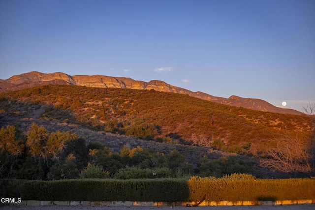 10525 Ojai Santa Paula Rd, Ojai, CA 93023 - photo 40