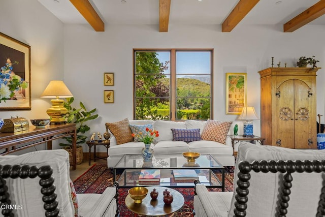 10525 Ojai Santa Paula Rd, Ojai, CA 93023 - photo 7