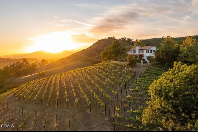 10525 Ojai Santa Paula Rd, Ojai, CA 93023 - photo 51