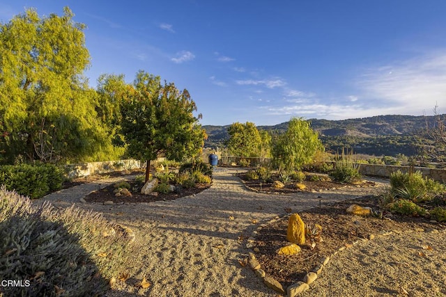 10525 Ojai Santa Paula Rd, Ojai, CA 93023 - photo 47